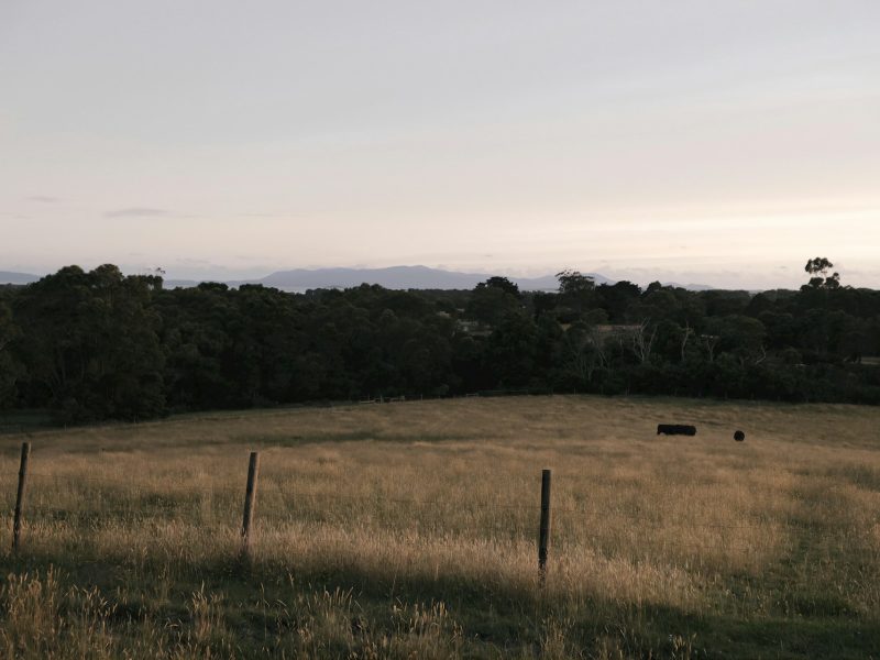 ra-hahn